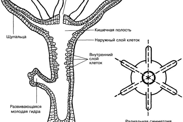 Кракен сайт биз