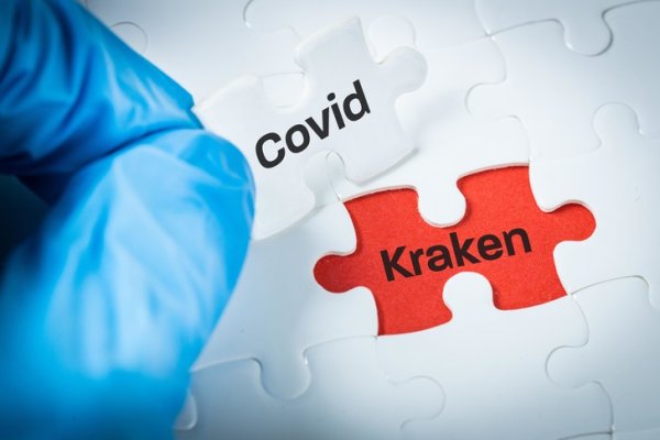 Кракен мониторинг ссылок kraken torion