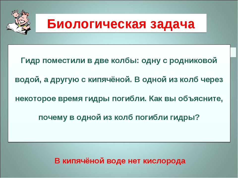 Кракен онион даркнет площадка