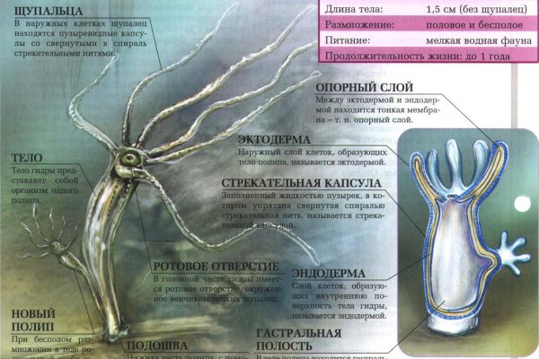Кракен вход
