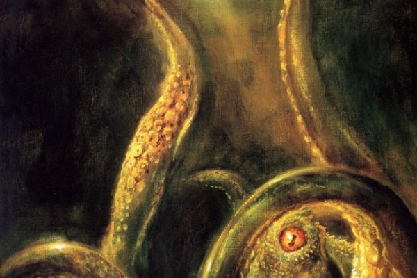 Kraken 12