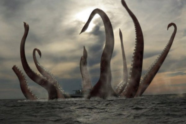 Kraken 23 at