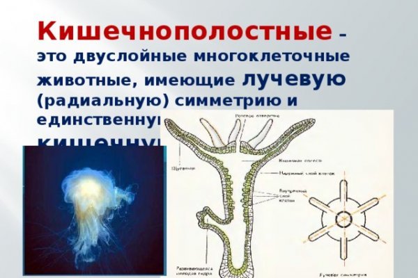 Кракен аватарка маркетплейс